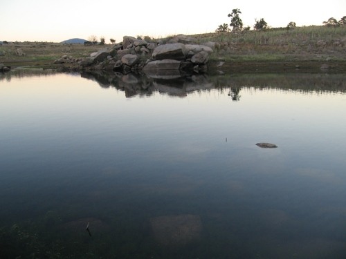 wollondibby-inlet-lake-jindabyne