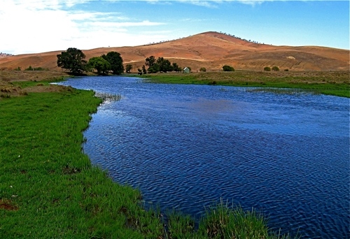 bolaro-murrumbidgee