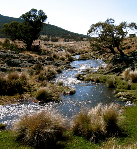 Rendevous Creek aka Little River