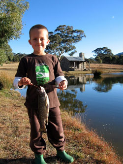 Little Brook Trout - Moonbah Hut