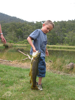 Teddy's big brown trout