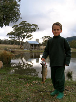 Ted's Brook Trout