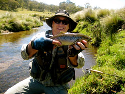 Moonbah Hut Brown Trout