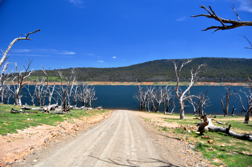 Anglers Reach Boat Ramp 2