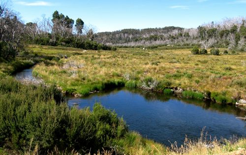 Ogilvies Creek